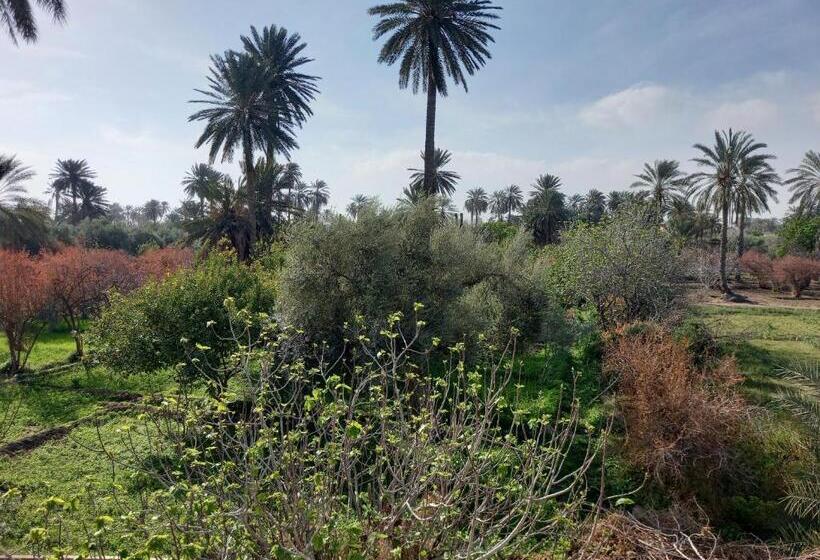 بنسيون Dar Seddik