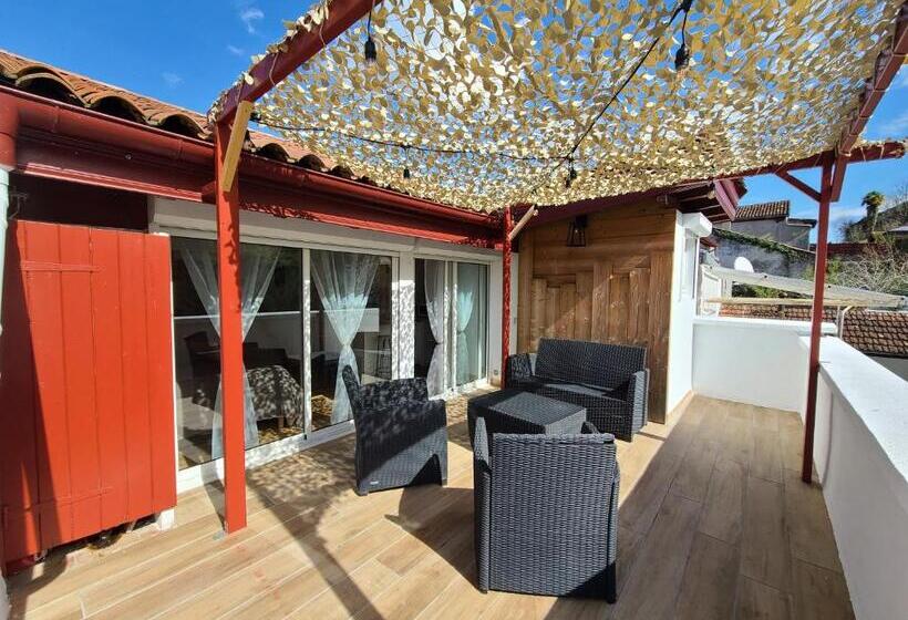 پانسیون Plan B