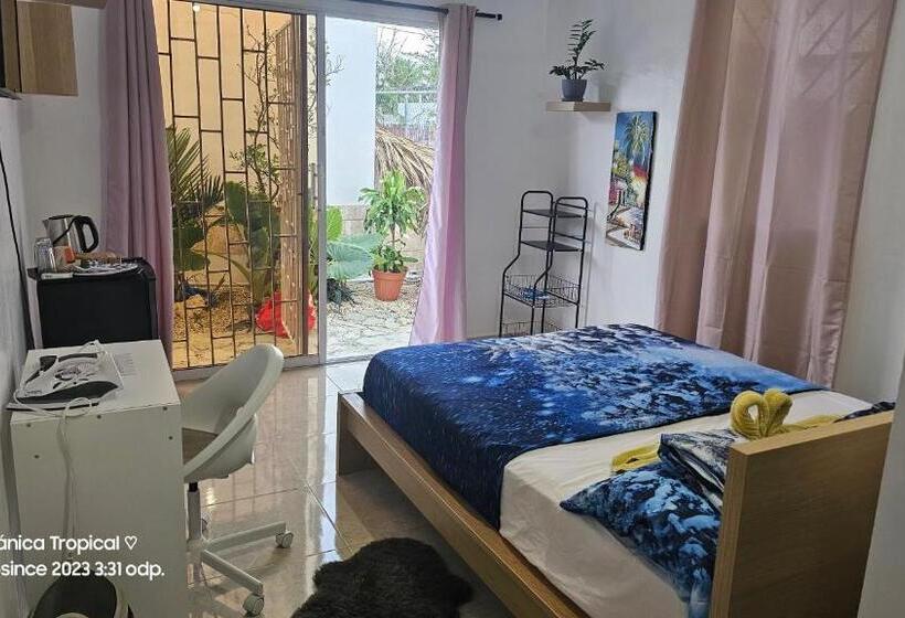 پانسیون Unique And Quiet Apartments La Botánica Tropical