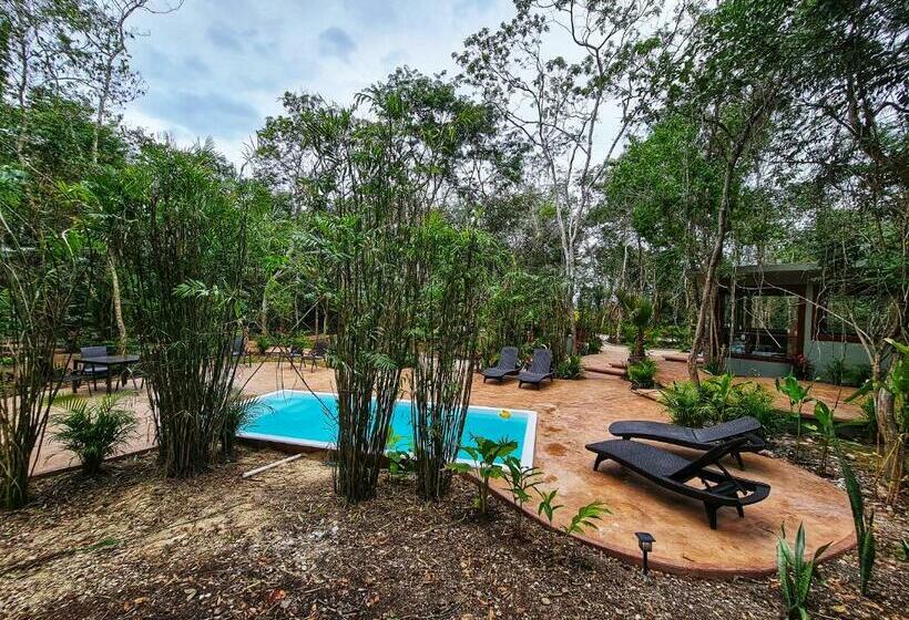 Secret Gardens Bacalar Suite 01 Con Alberca Y Bicicletas