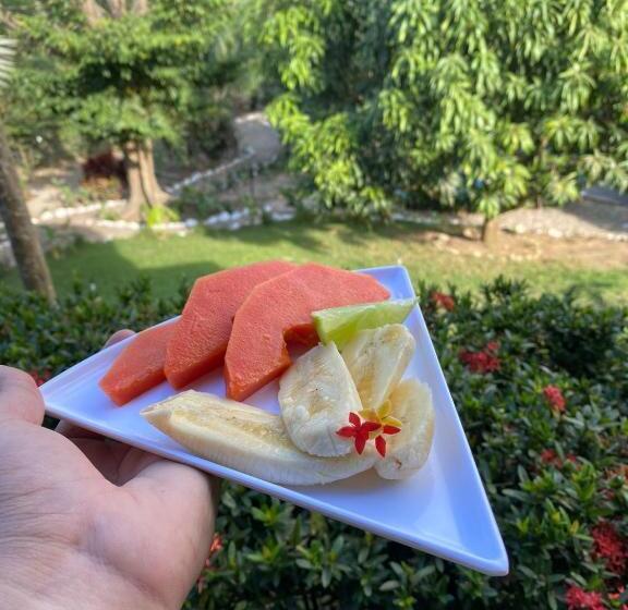 تختخواب و صبحانه Bonita Hostel