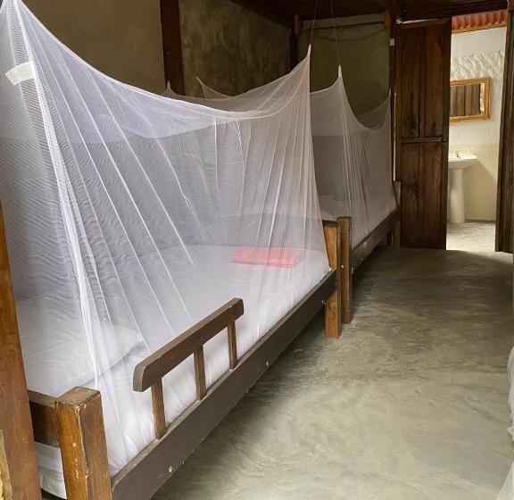 تختخواب و صبحانه Bonita Hostel