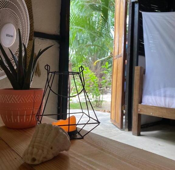 تختخواب و صبحانه Bonita Hostel