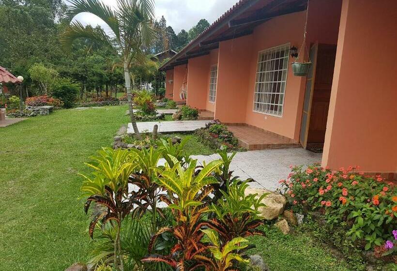 ホテル Cabañas Mountain River Lake Inn
