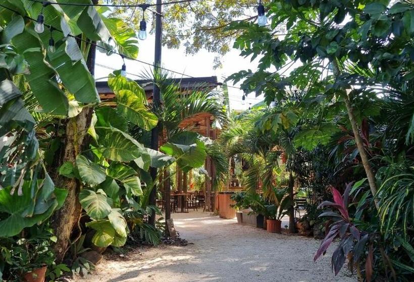 Zulu Surf Hotel Tamarindo
