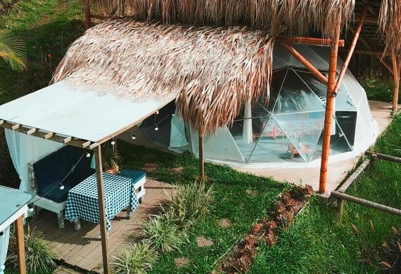 Общежитие Finca Y Glamping Grinta