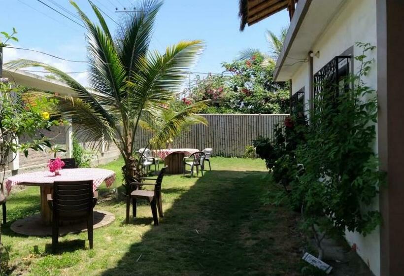 فندق صغير Mambo Ecohostal