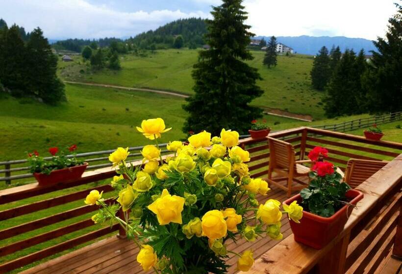 Bed and Breakfast La Vulturi