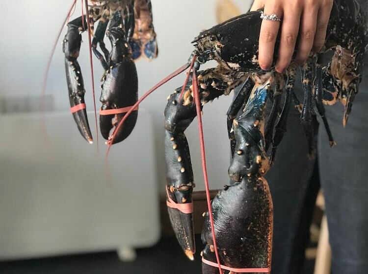 مبيت وإفطار The Cathedral Villas