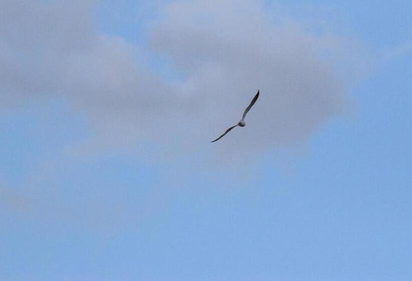 مبيت وإفطار Villa Il Respiro