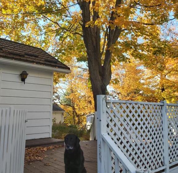 Blue Spruce B&b Muskoka
