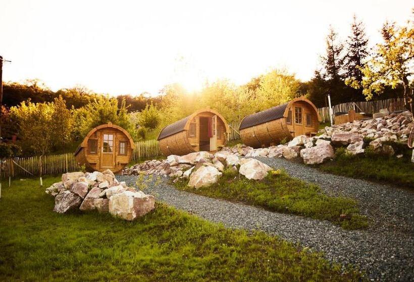 پانسیون Complex Butoaiele Transilvaniei   Cazare & Spa   Natura   Relaxare