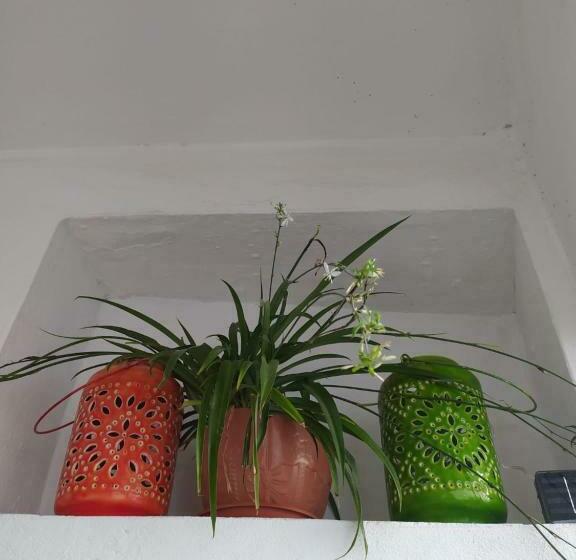 Пансион La Lectora