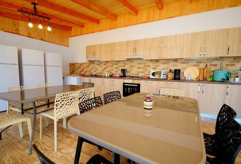 Пансион Mustaciosul Dunarii