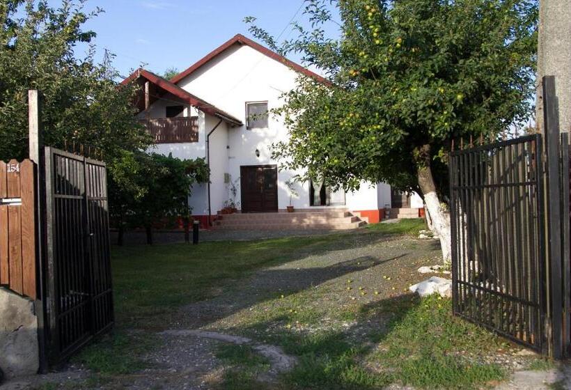 بنسيون Vila Toate Panzele Sus