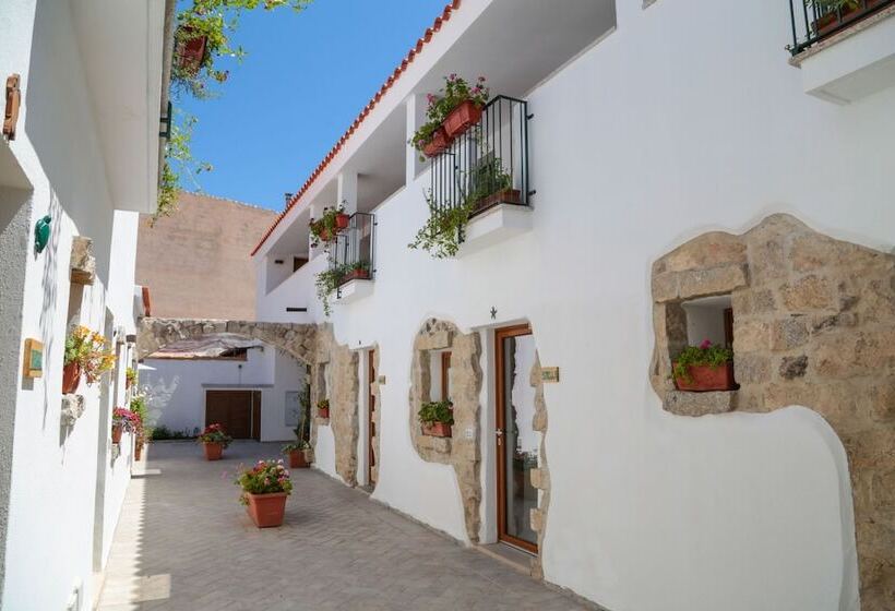 تختخواب و صبحانه Olbia Domus Inn