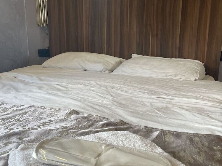 Fotos del hotel Alyon Suite:  16