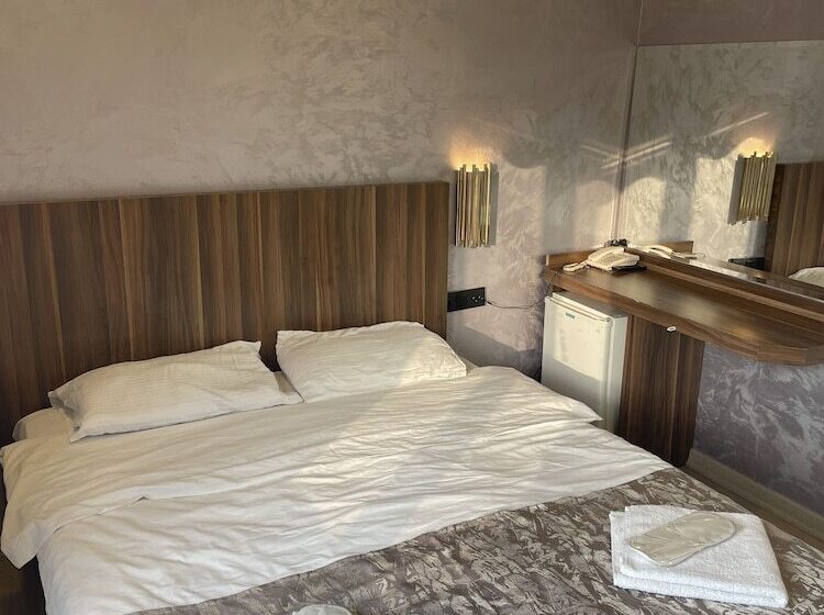 Fotos del hotel Alyon Suite:  9