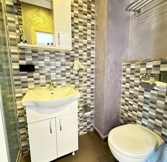 Fotos del hotel Alyon Suite:  28