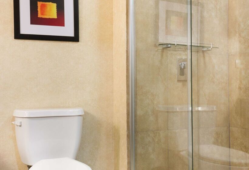 Fotos del hotel Best Western Premier Monterrey Aeropuerto:  29