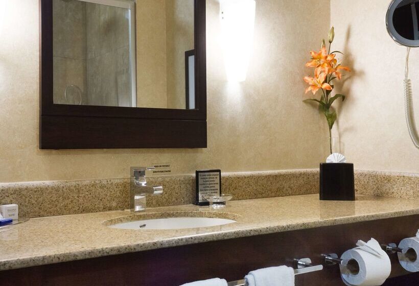 Fotos del hotel Best Western Premier Monterrey Aeropuerto:  37