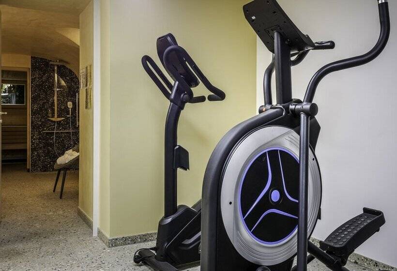 هتل Hôtel des Vosges