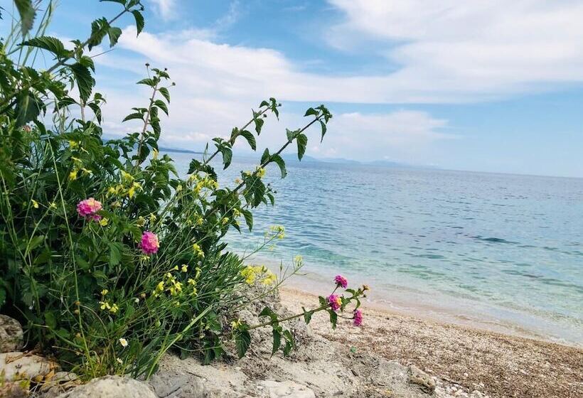 Fotos del hotel Corfu Glyfa:  38