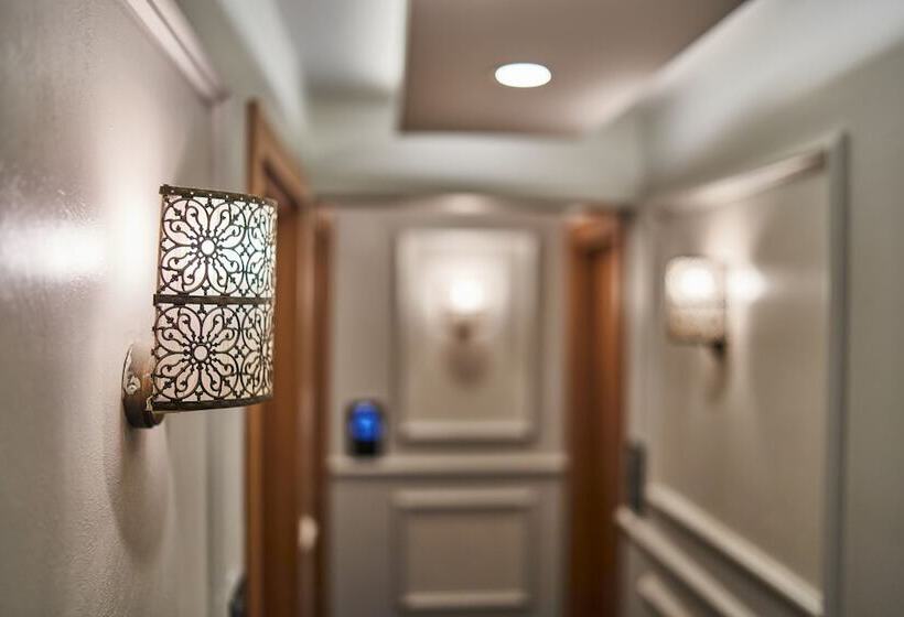 Fotos del hotel Istanbul Sirkeci  & Spa:  10