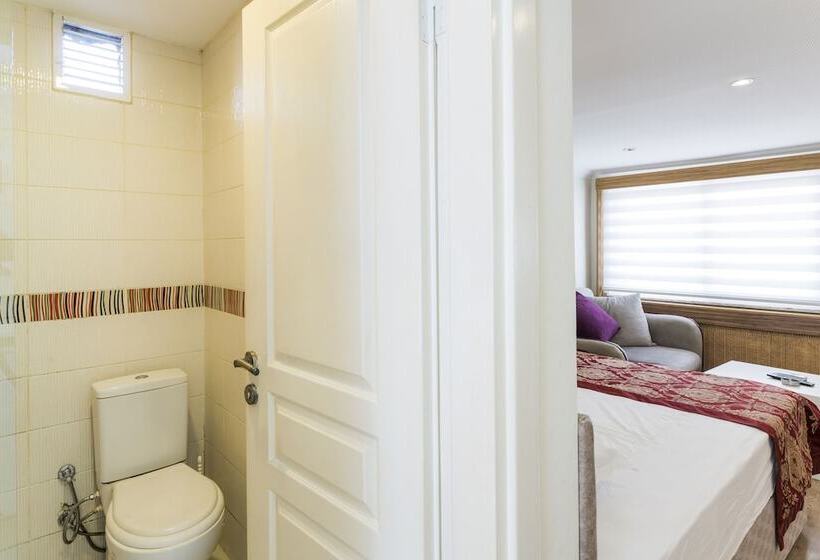 Fotos del hotel Taxim Elegance Suites:  17