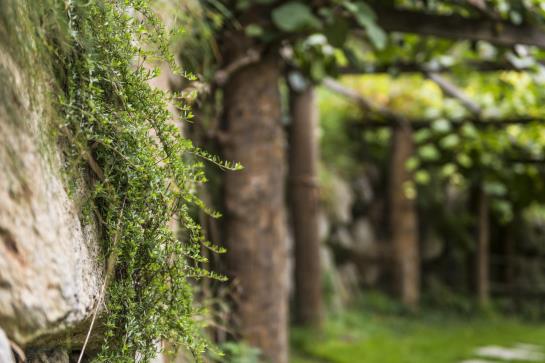 Naturresidenz Mair Zu Hof