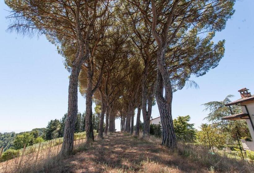 Podere Caldaruccio La Pineta