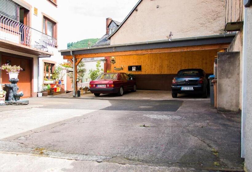 هاستل Gasthaus Castor