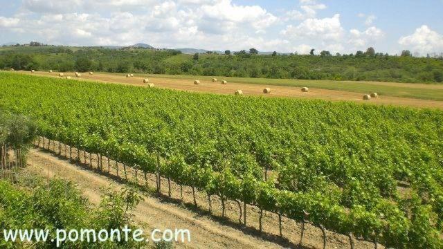 فندق Il Girasole Terzuolo