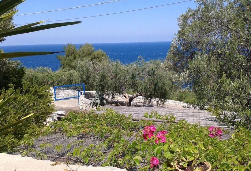 Mirto Sopra   Casa In Pietra Sul Mare
