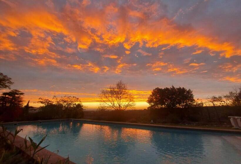 ペンション Château Moussoulens