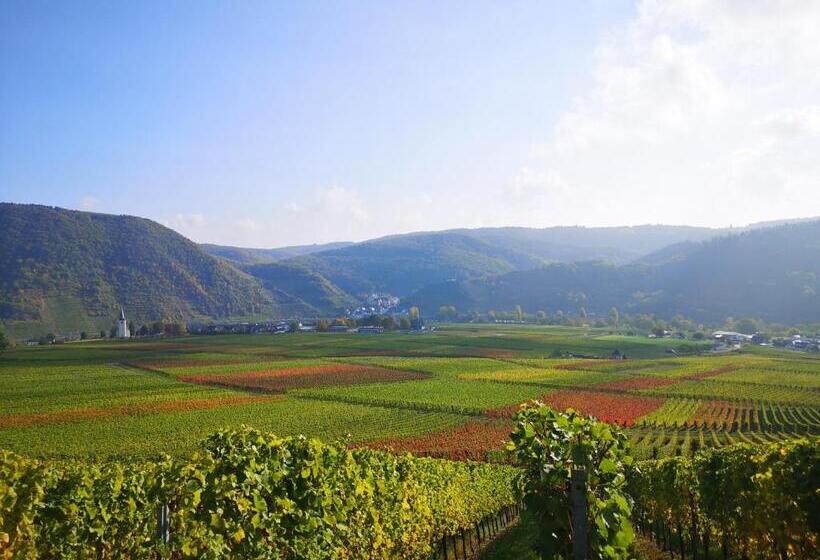 ペンション Ferienweingut Villa Hausmann
