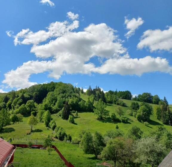 Pensiunea Floare De Bucovina