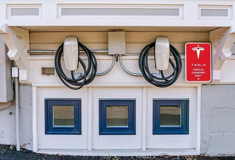 Redtail Suites~ Red Mccall Suite~tesla Station