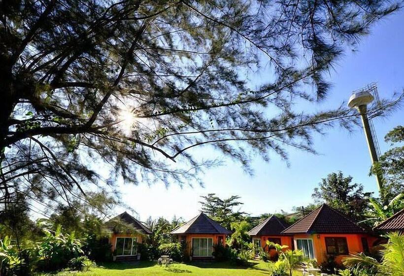 Albergue Monkey Dive Yolo Bungalow