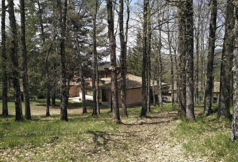 Hostel El Oso Pardo