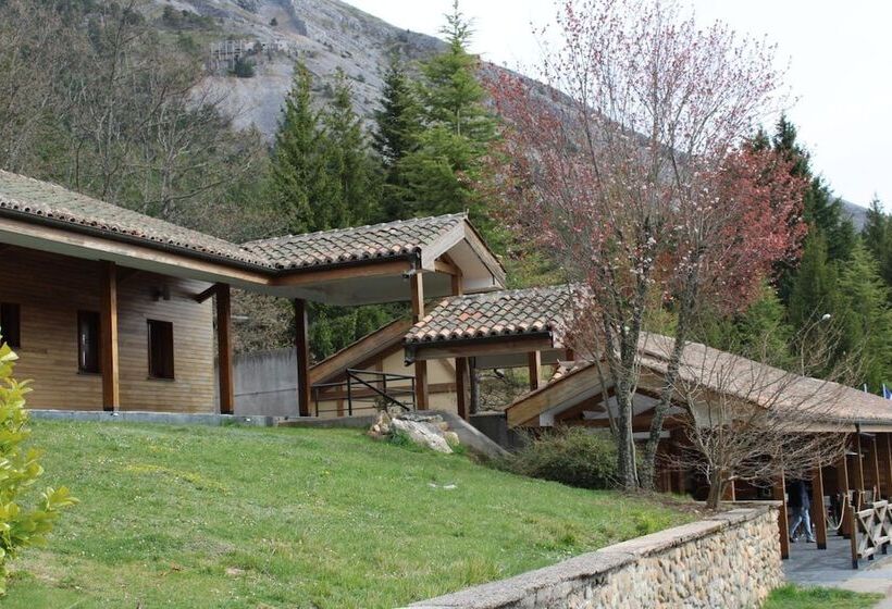 Hostel El Oso Pardo