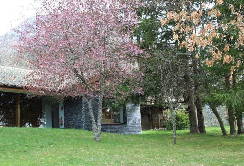 Hostel El Oso Pardo