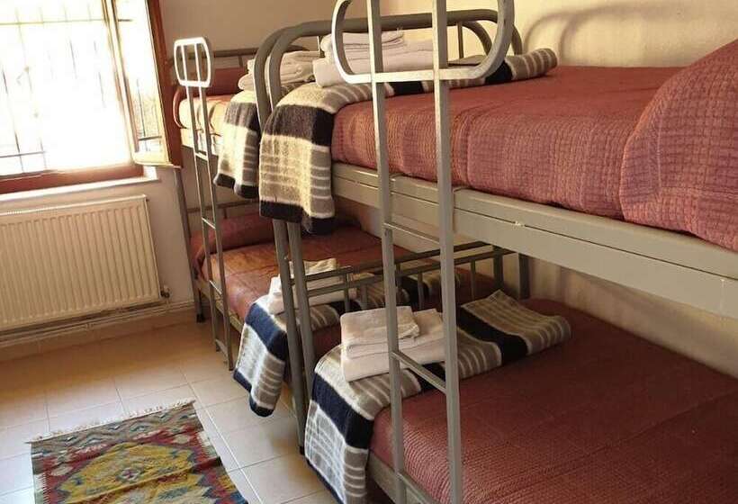 Hostel El Oso Pardo