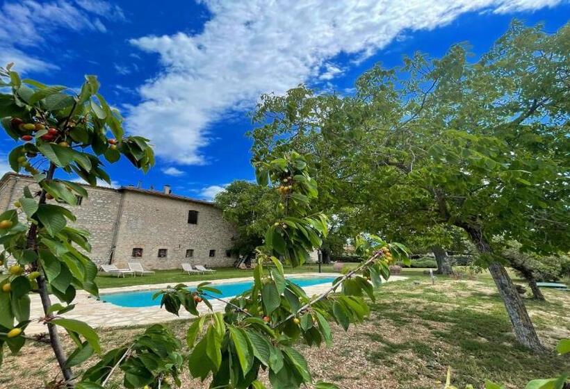 בית מלון כפרי Exclusive Pool Open All Year Spoleto Biofarm Slps 8 Village Shops, Bar1 Km 6