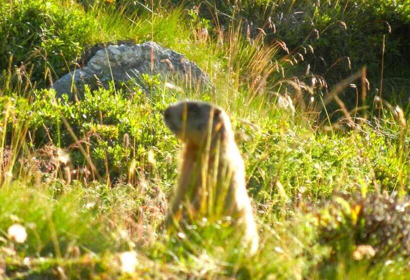 בית מלון כפרי Albergo Sciatori