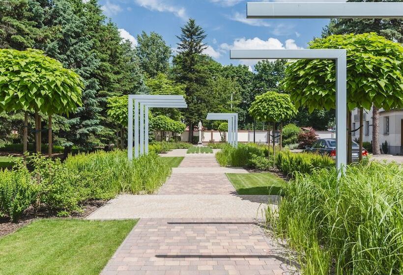 Fotos del hotel Domus Mater:  16