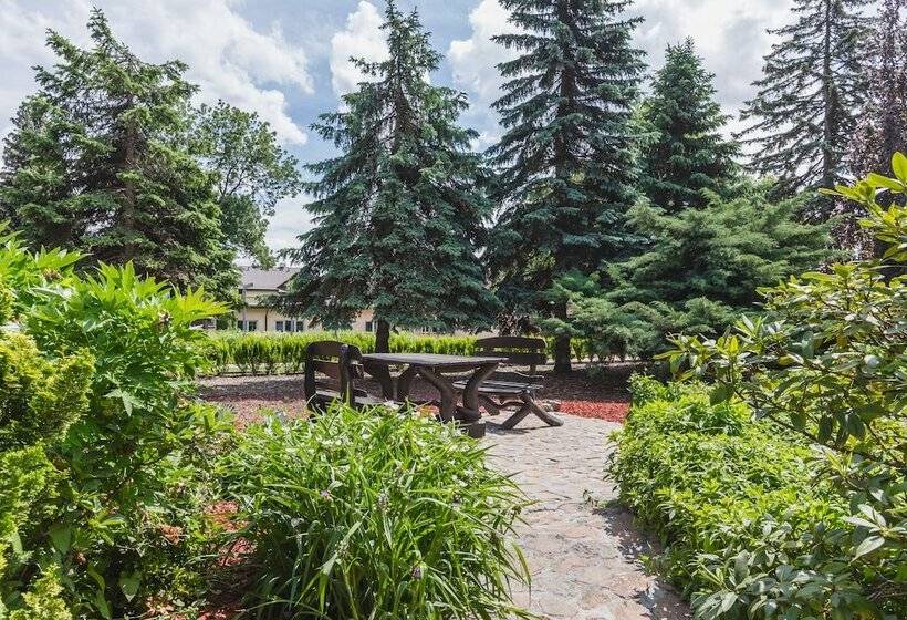 Fotos del hotel Domus Mater:  17