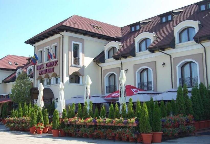 Hotel Hanul Domnesc