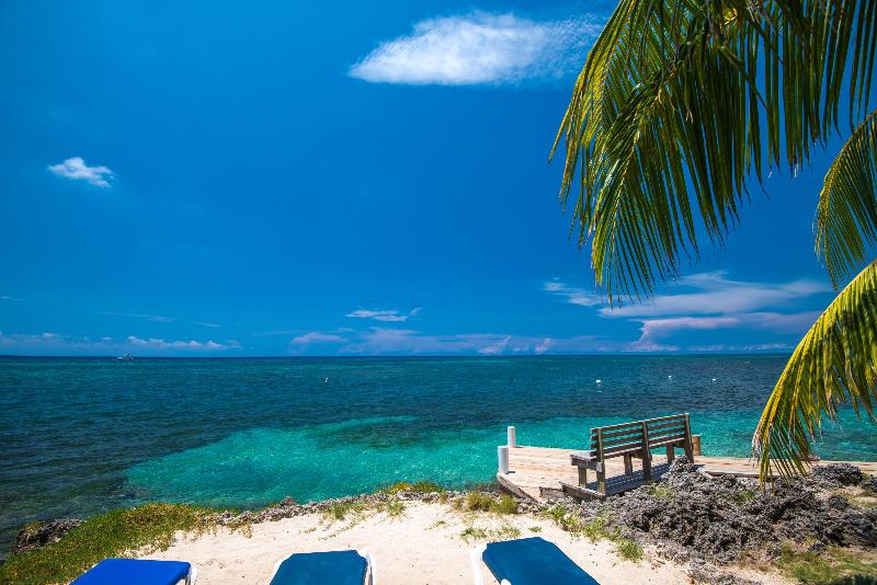 هتل Las Rocas Resort And Dive Center