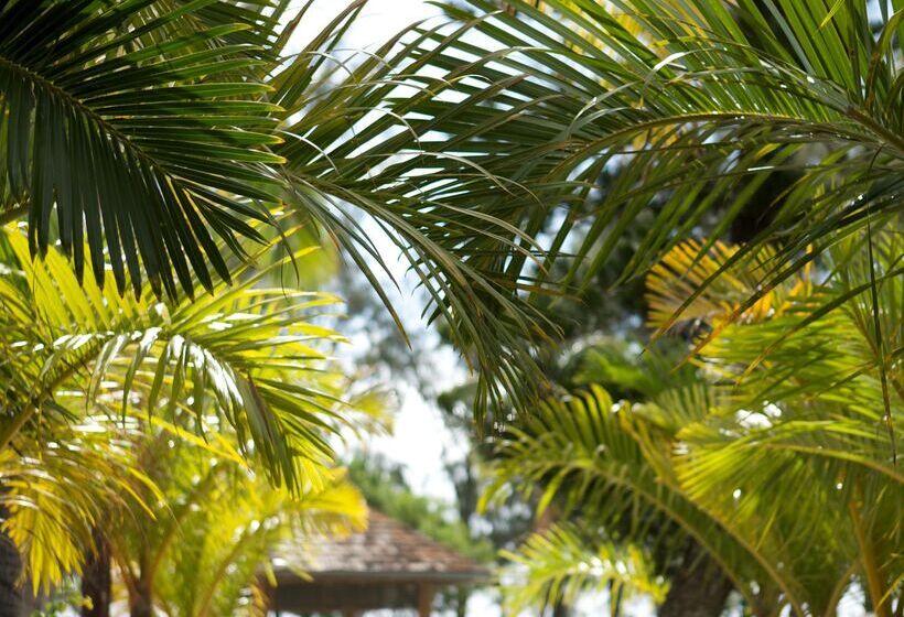Fotos del hotel Le Recif, Ile De La Reunion:  19